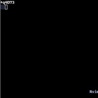 20250503_nvim011_200_200